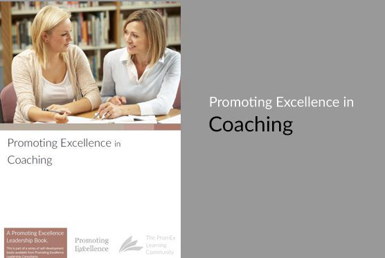 Promoting Excellence on Coaching Book Cover